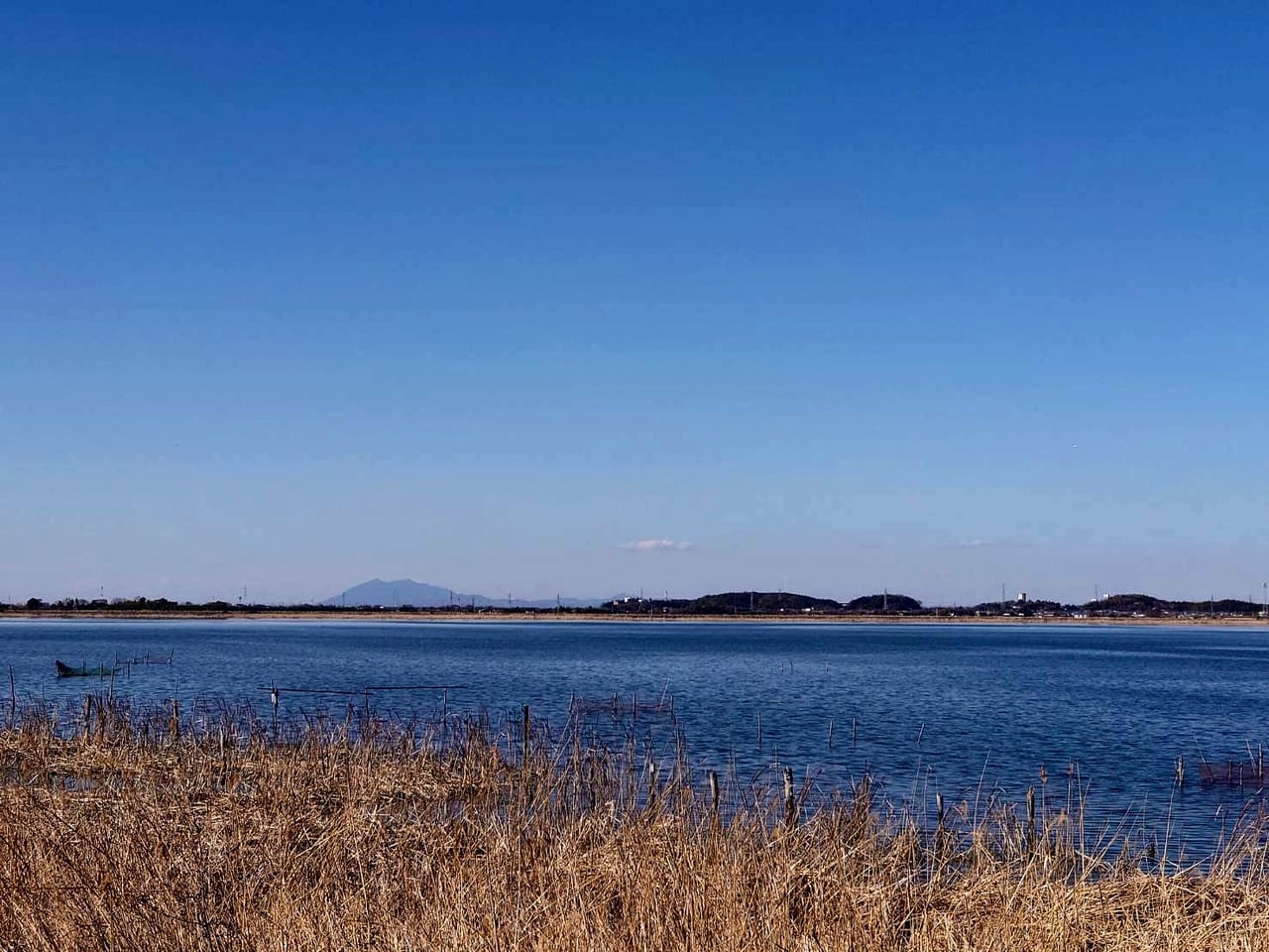 印旛沼_筑波山