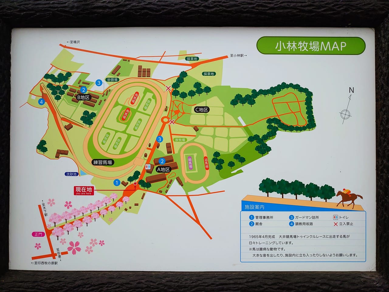 小林牧場_MAP