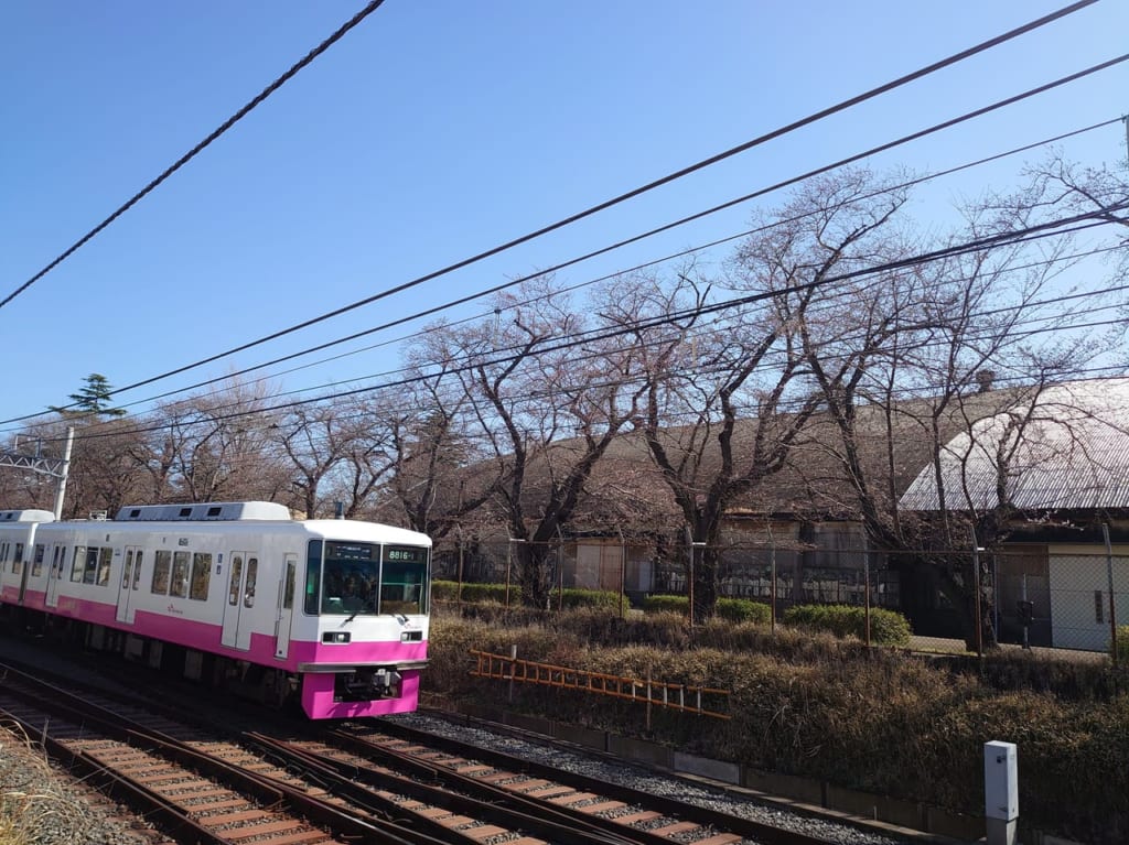 くぬぎ山駅桜_桜と電車