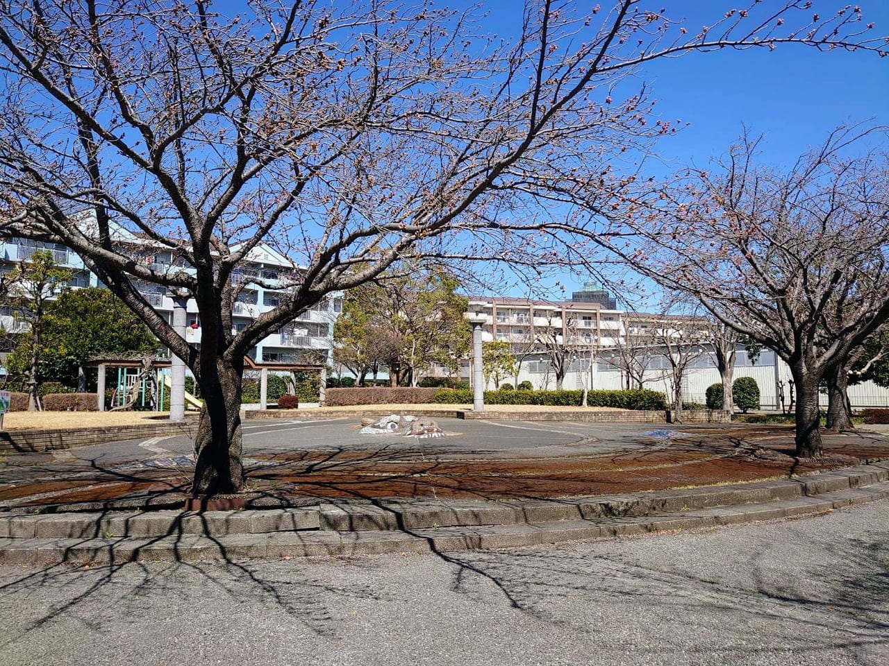 桜台公園_竜の頭と桜