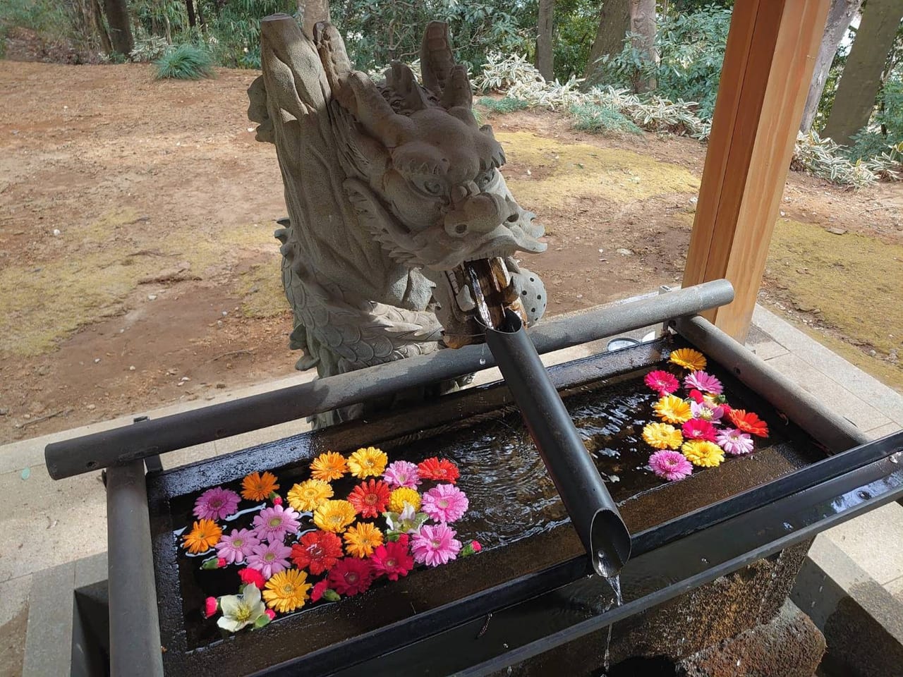 阿夫利神社_手水