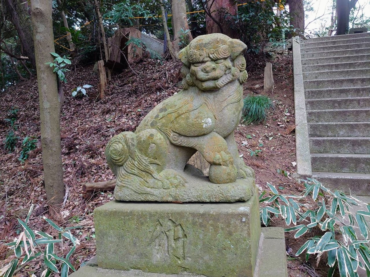 阿夫利神社_狛犬江戸型うん