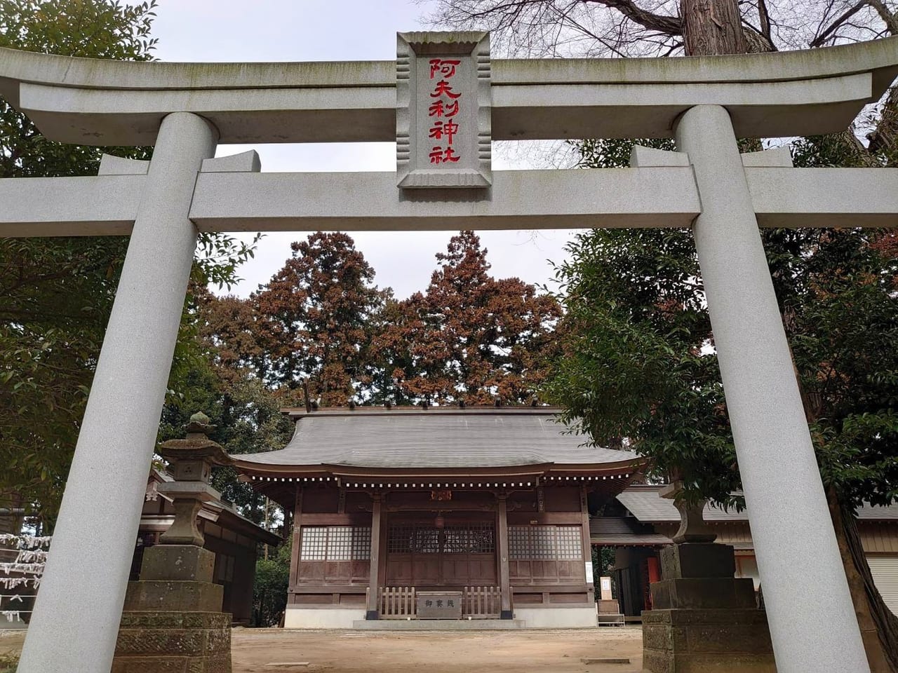 阿夫利神社_二之鳥居と拝殿