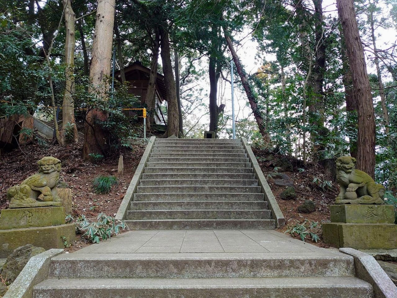 阿夫利神社_奥宮狛犬江戸型