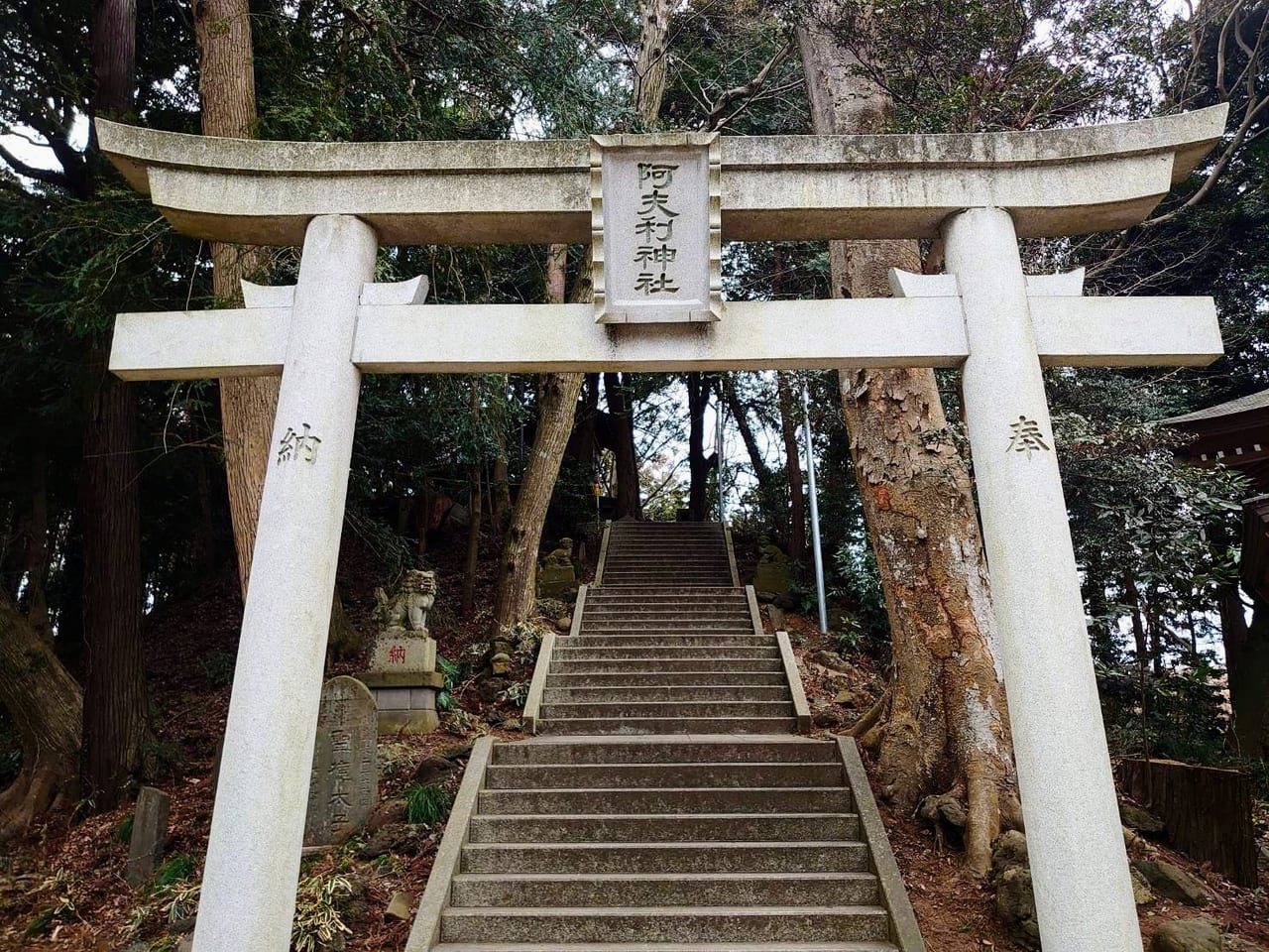 阿夫利神社_奥宮鳥居