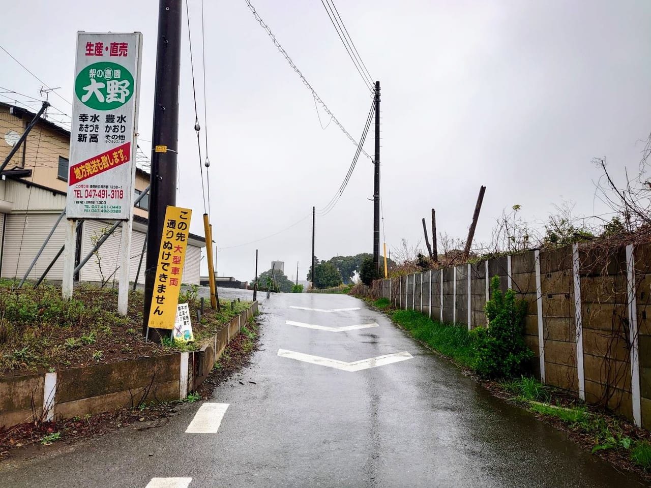 あんぶら～て_大野梨園