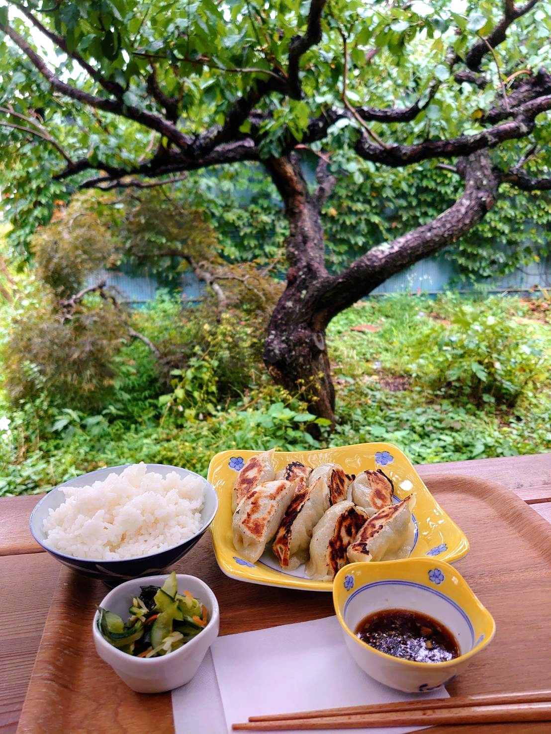 カフェうめばたけ_餃子と梅の木