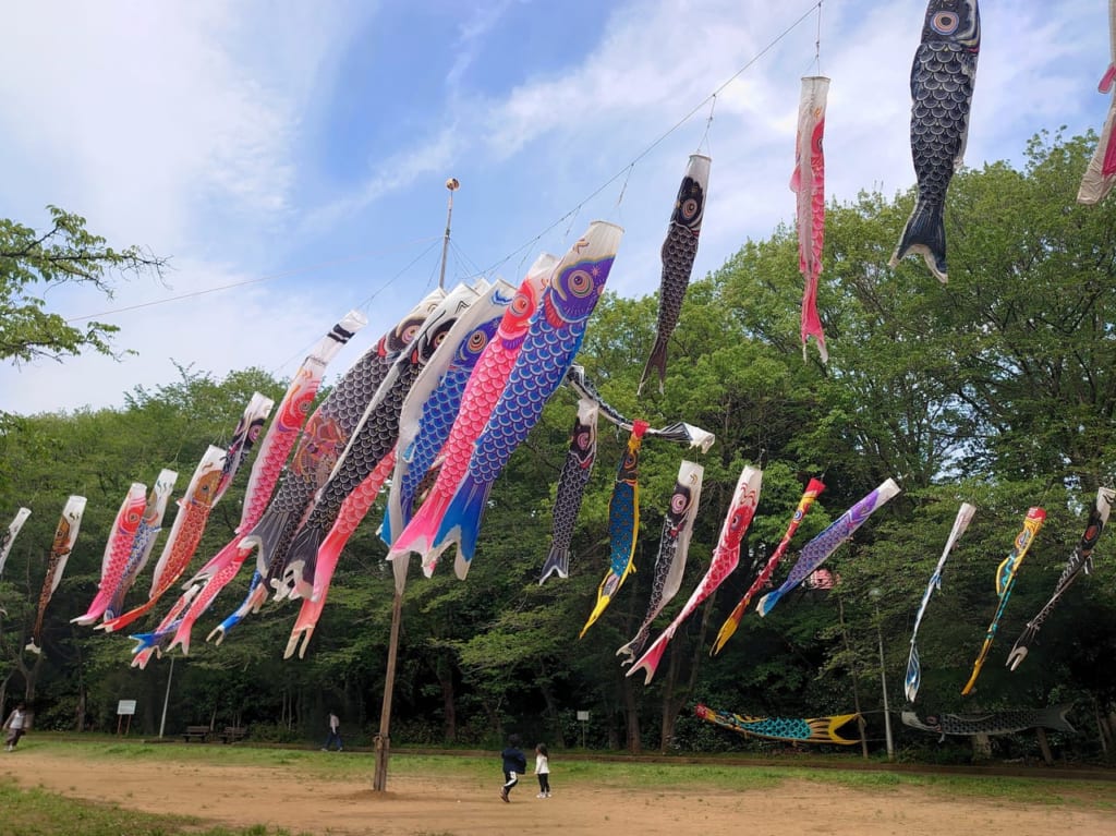 貝柄山公園鯉のぼり_泳いでる