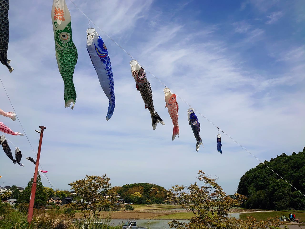 小林鯉のぼり_田園風景