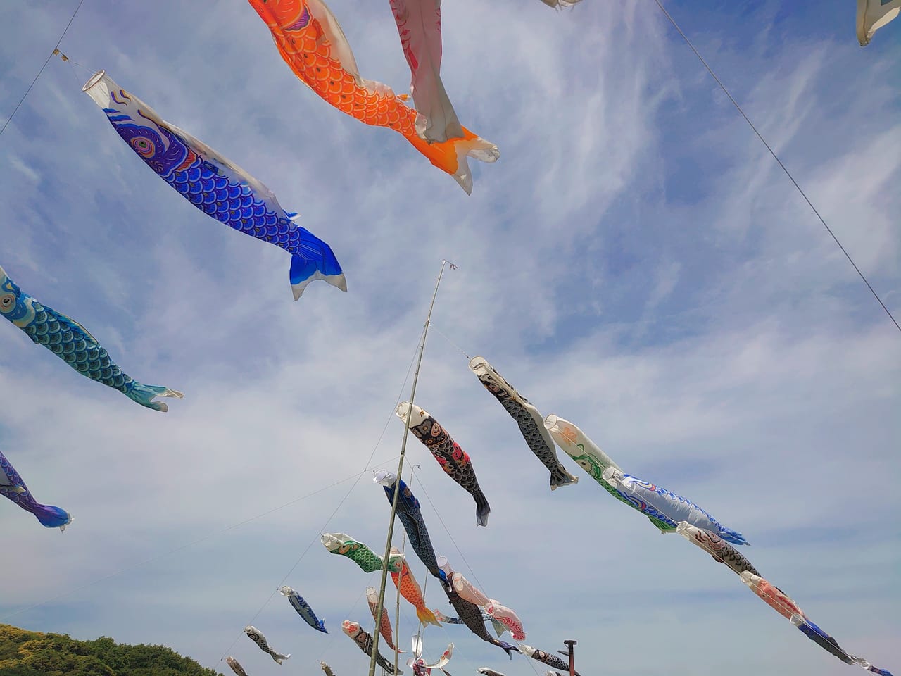 小林鯉のぼり_鯉のぼりと空