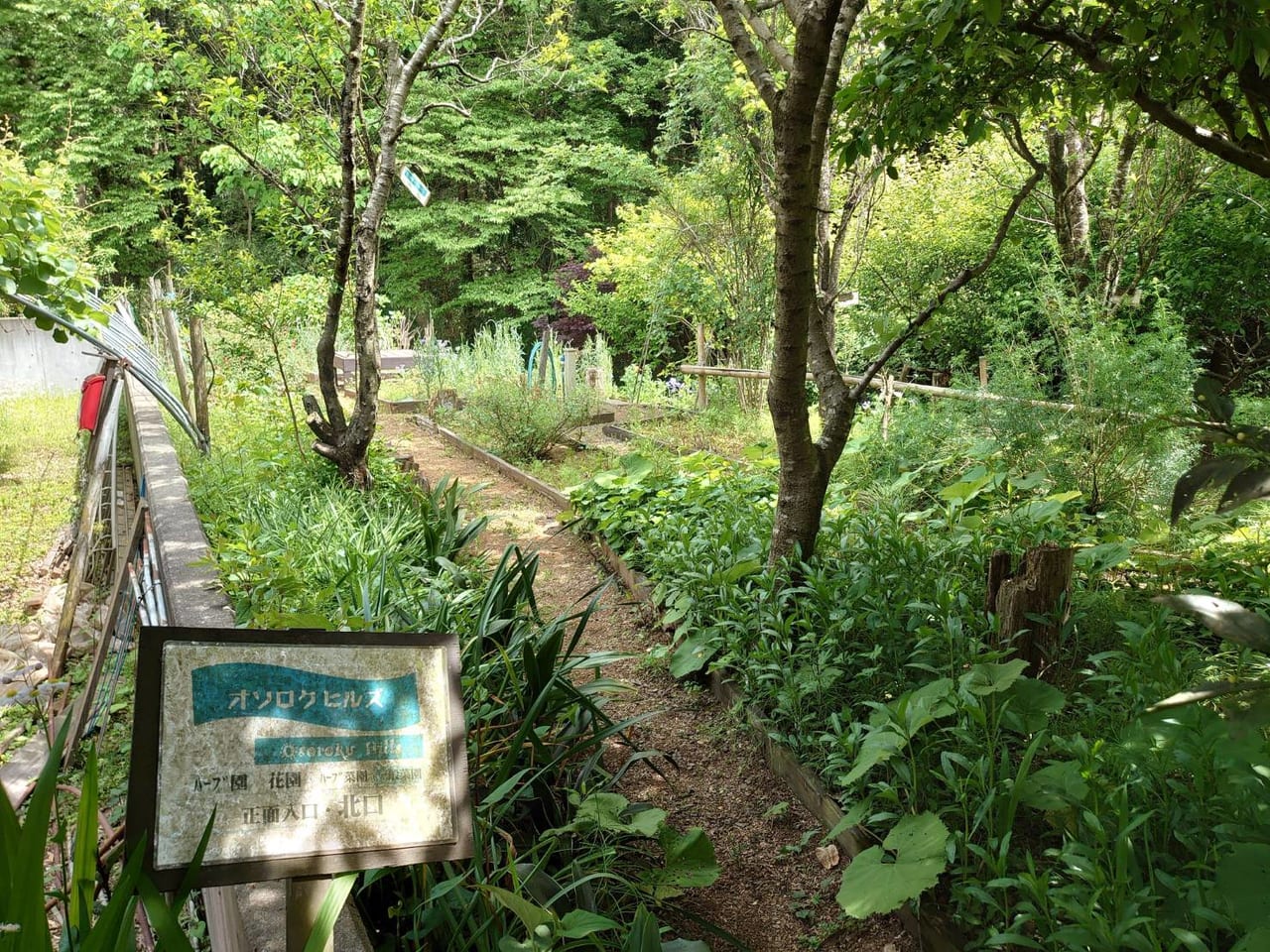 オソロク倶楽部_ハーブ園