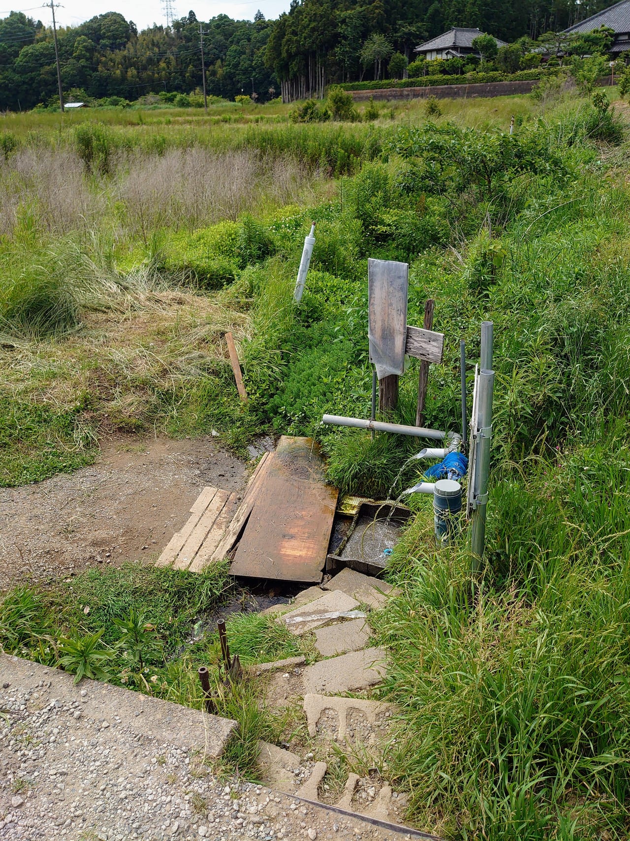 一本松湧き水_水汲み場