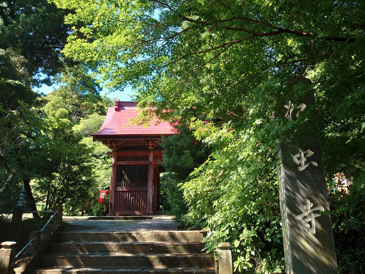 松虫寺あじさい_山門