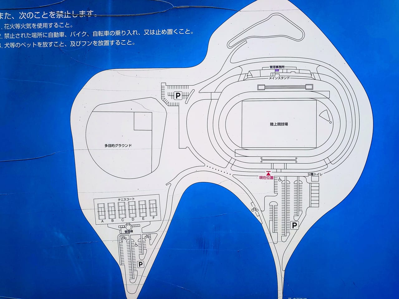 白井梨マラソン_運動公園案内図