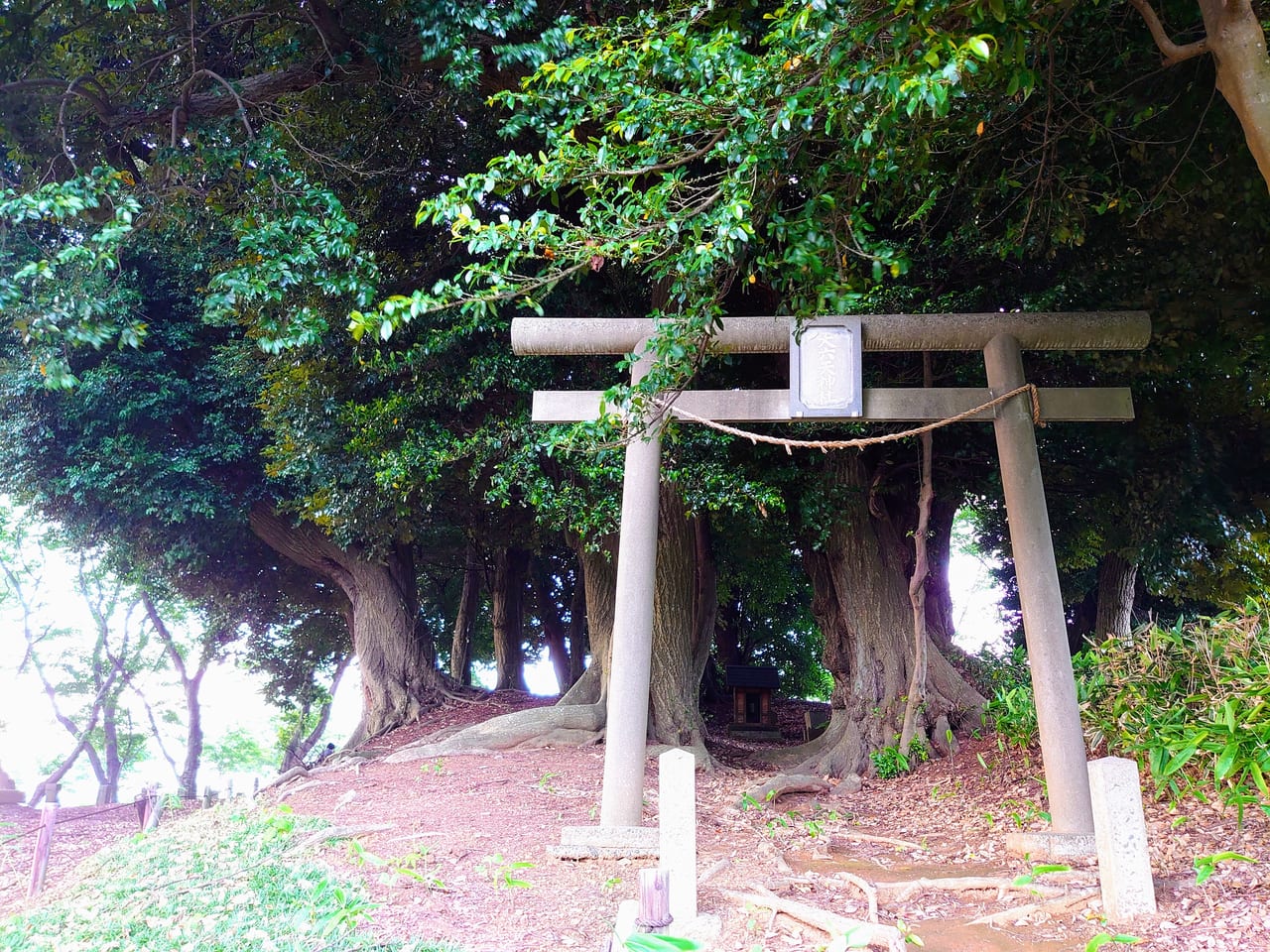 大六天_大六天神社