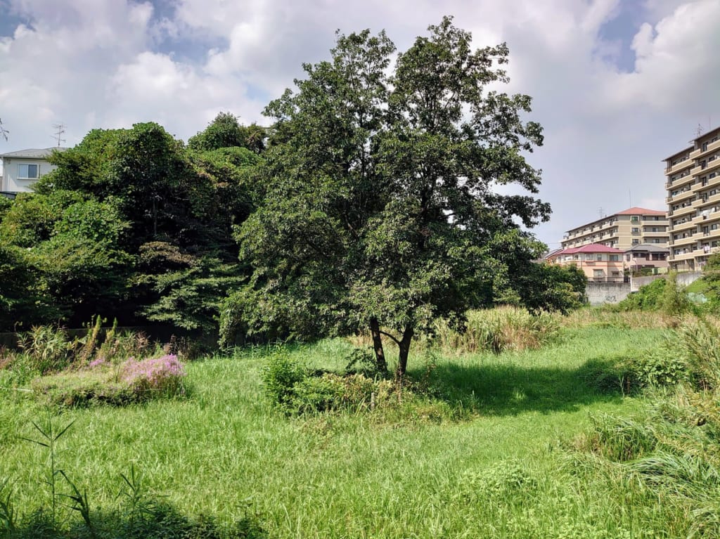 囃子清水_公園