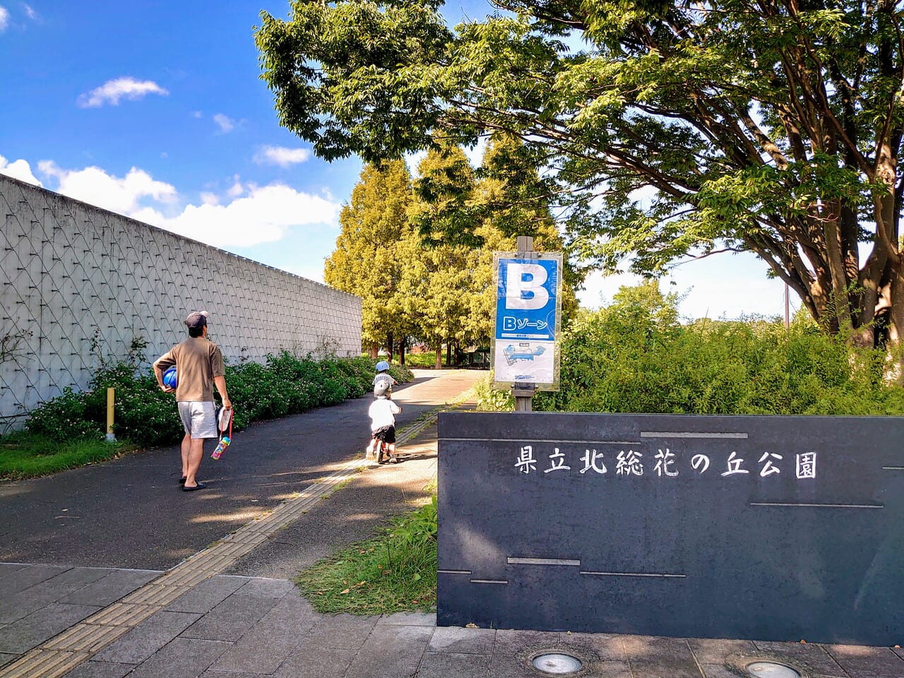 花の丘公園コスモス_入り口２