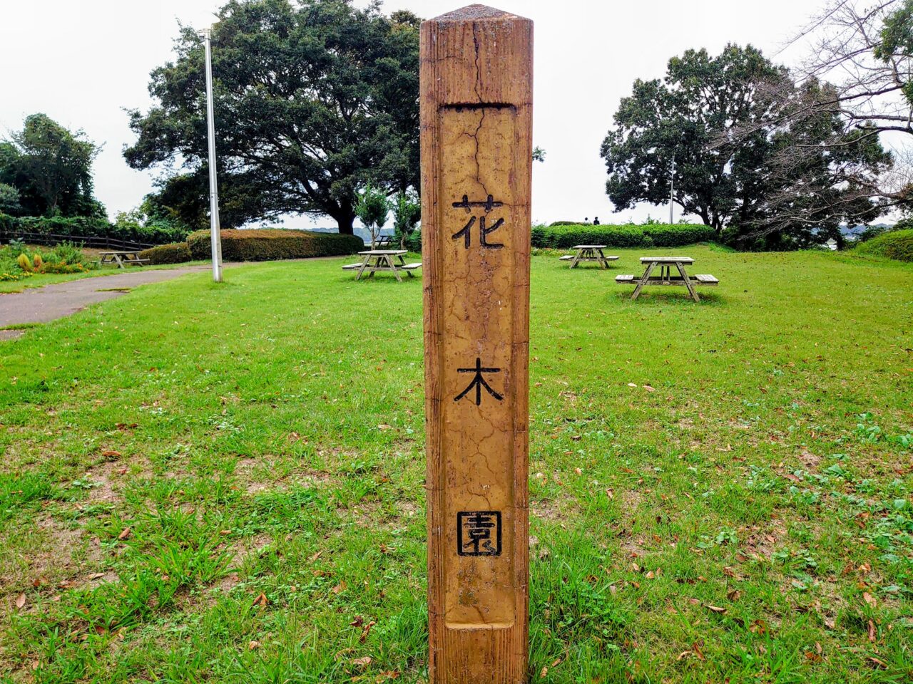 印旛沼公園彼岸花_印旛沼公園２