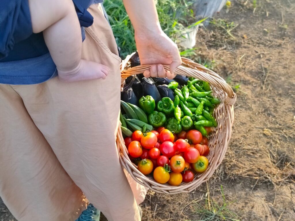 田舎ごっこファーム_野菜かご