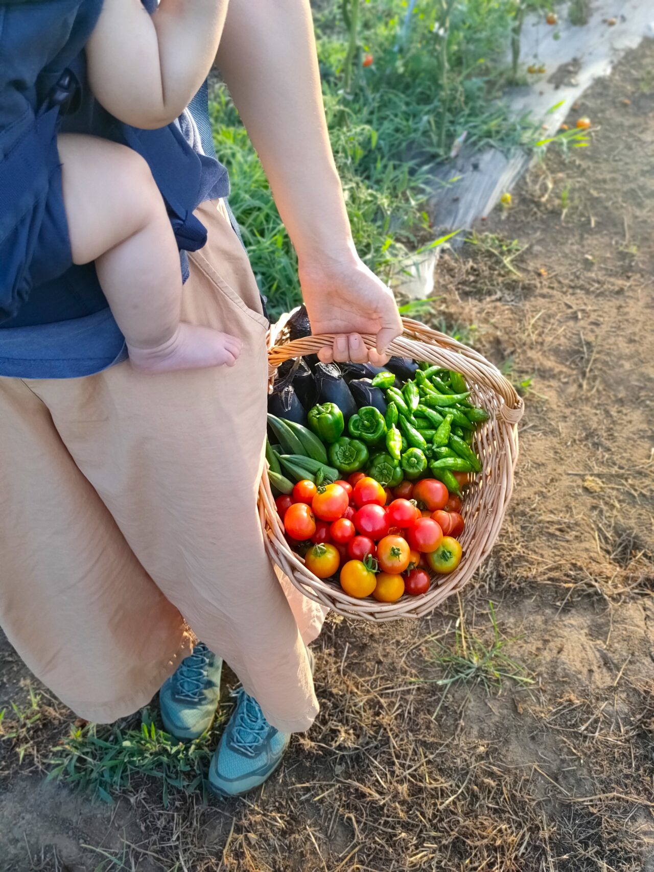 田舎ごっこファーム_野菜かご