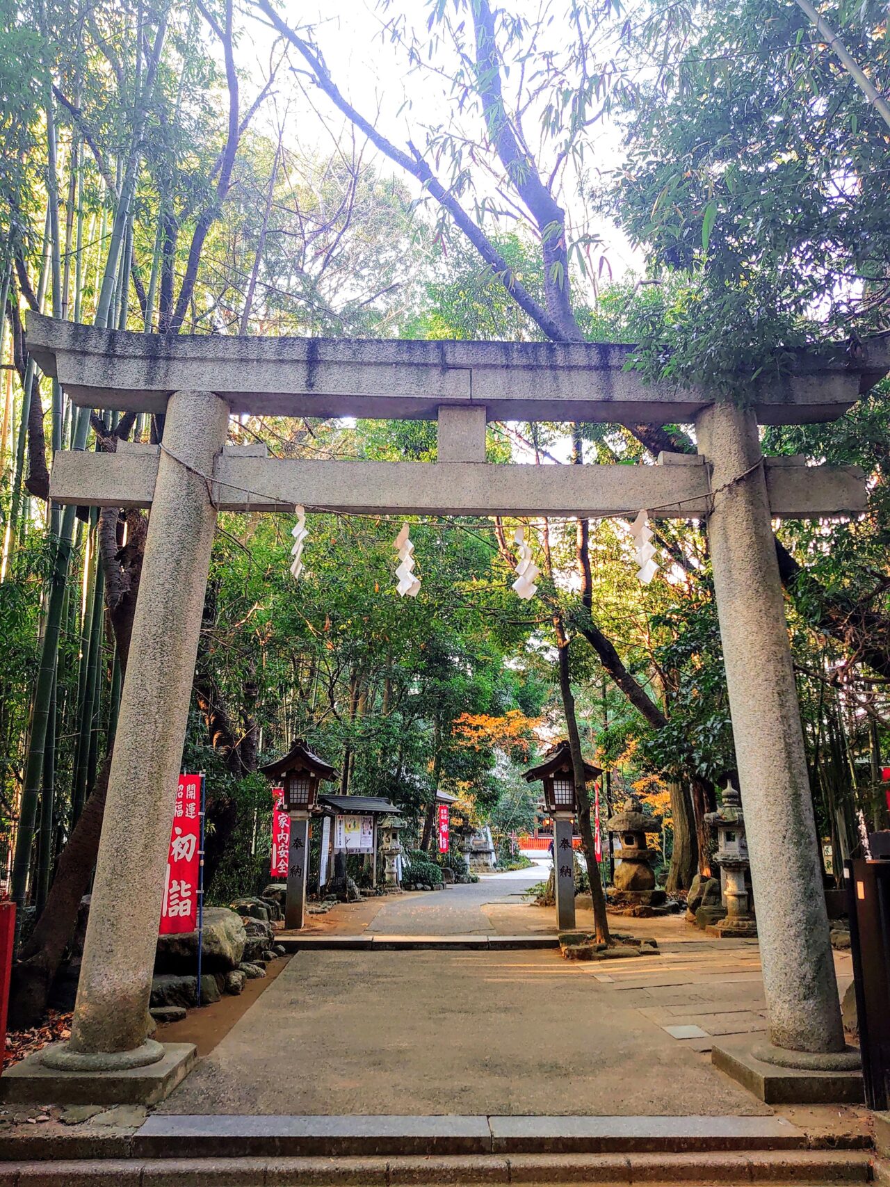 道野辺八幡宮2025_鳥居