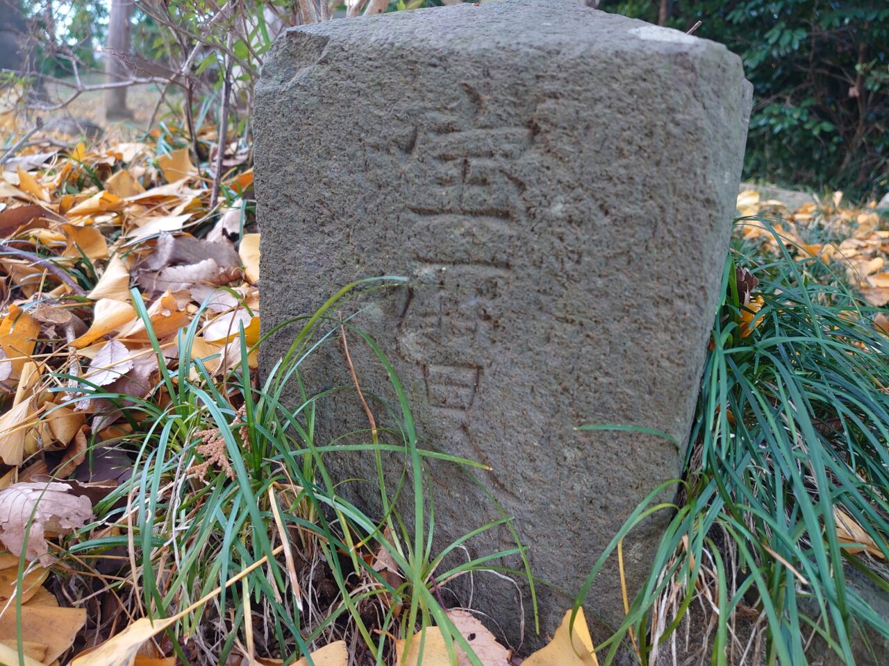 鷲神社_石段３