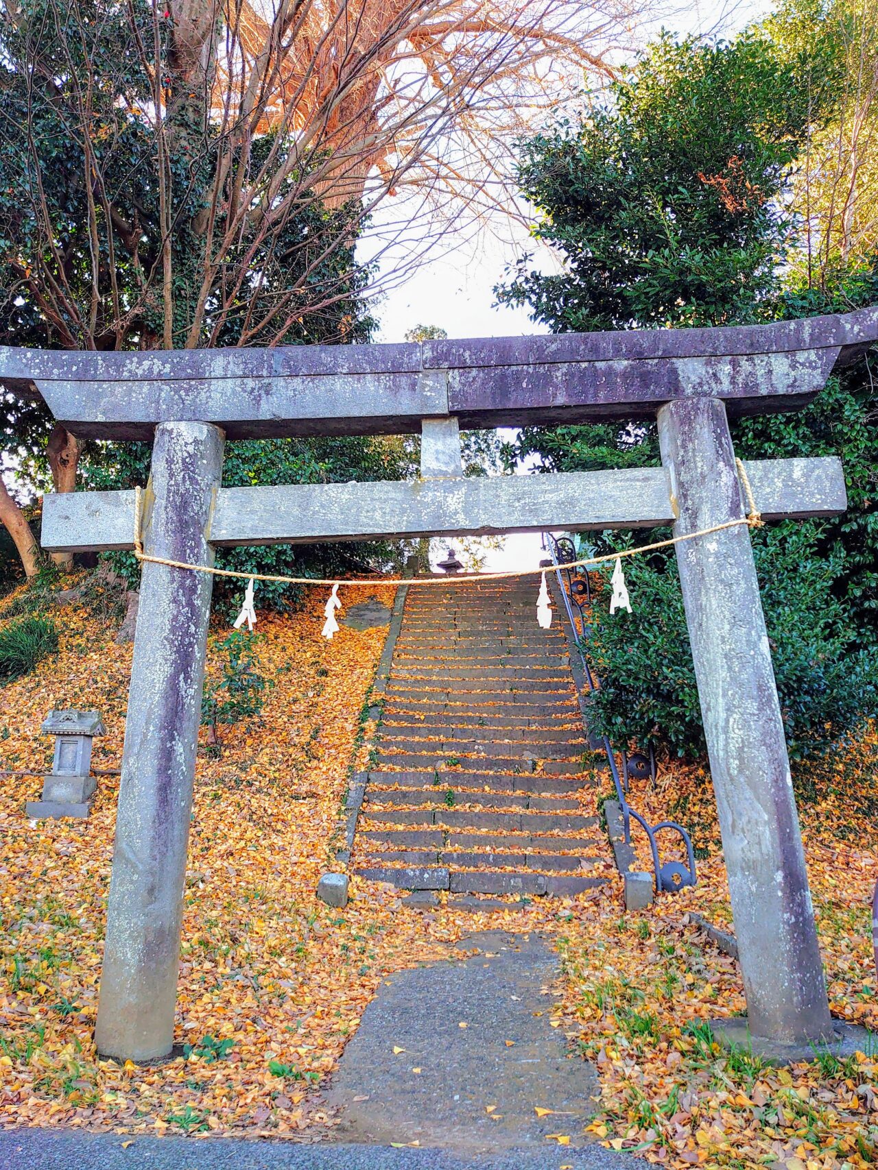 鷲神社_鳥居