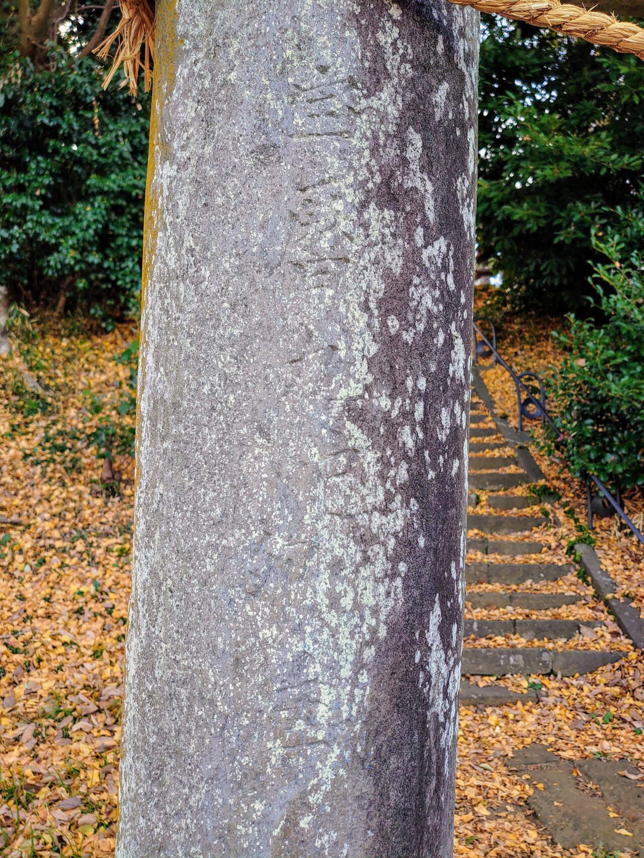 鷲神社_鳥居柱