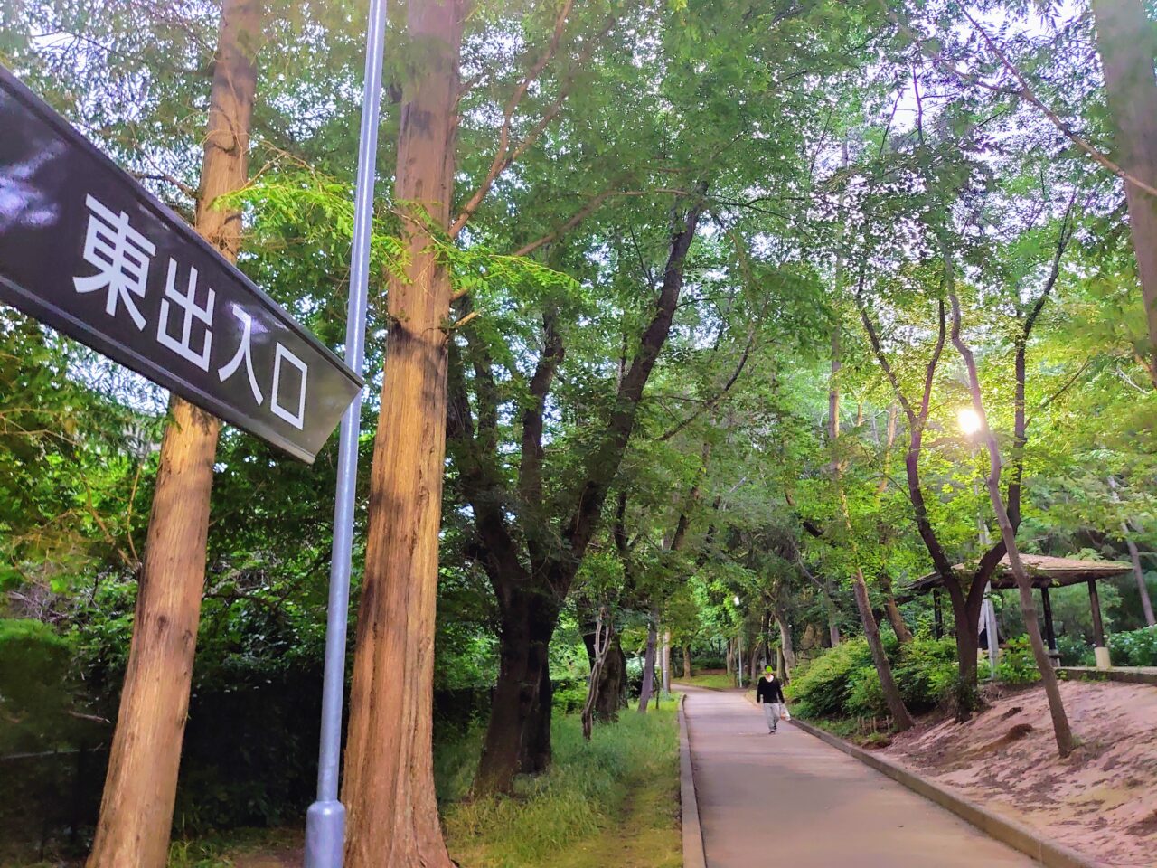 貝柄山公園あじさい2025_東出入口