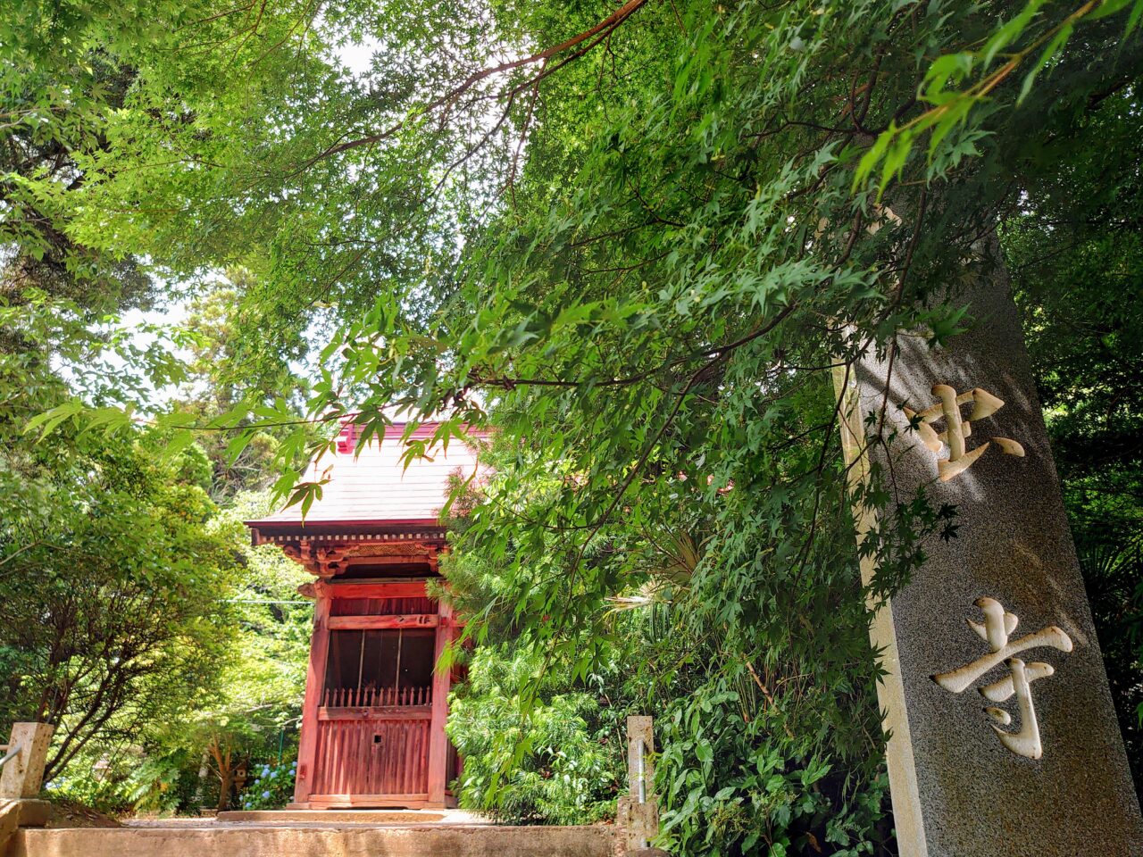 松虫寺あじさい2025_山門１
