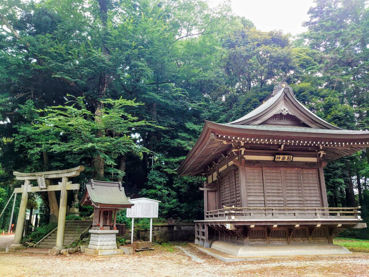 阿夫利神社例大祭2025_神楽殿と奥宮鳥居