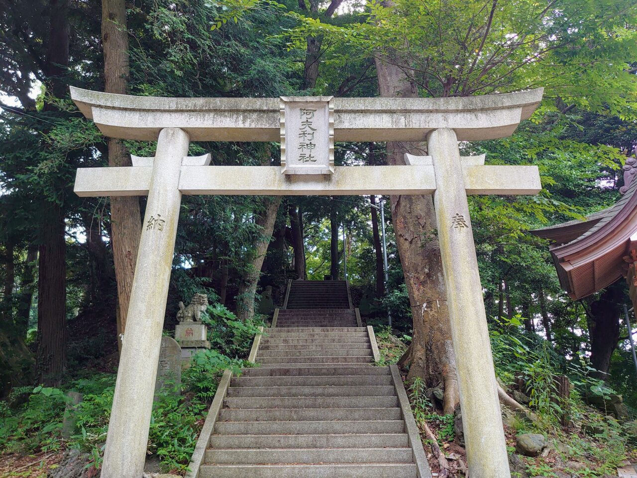 阿夫利神社例大祭2025_奥宮鳥居