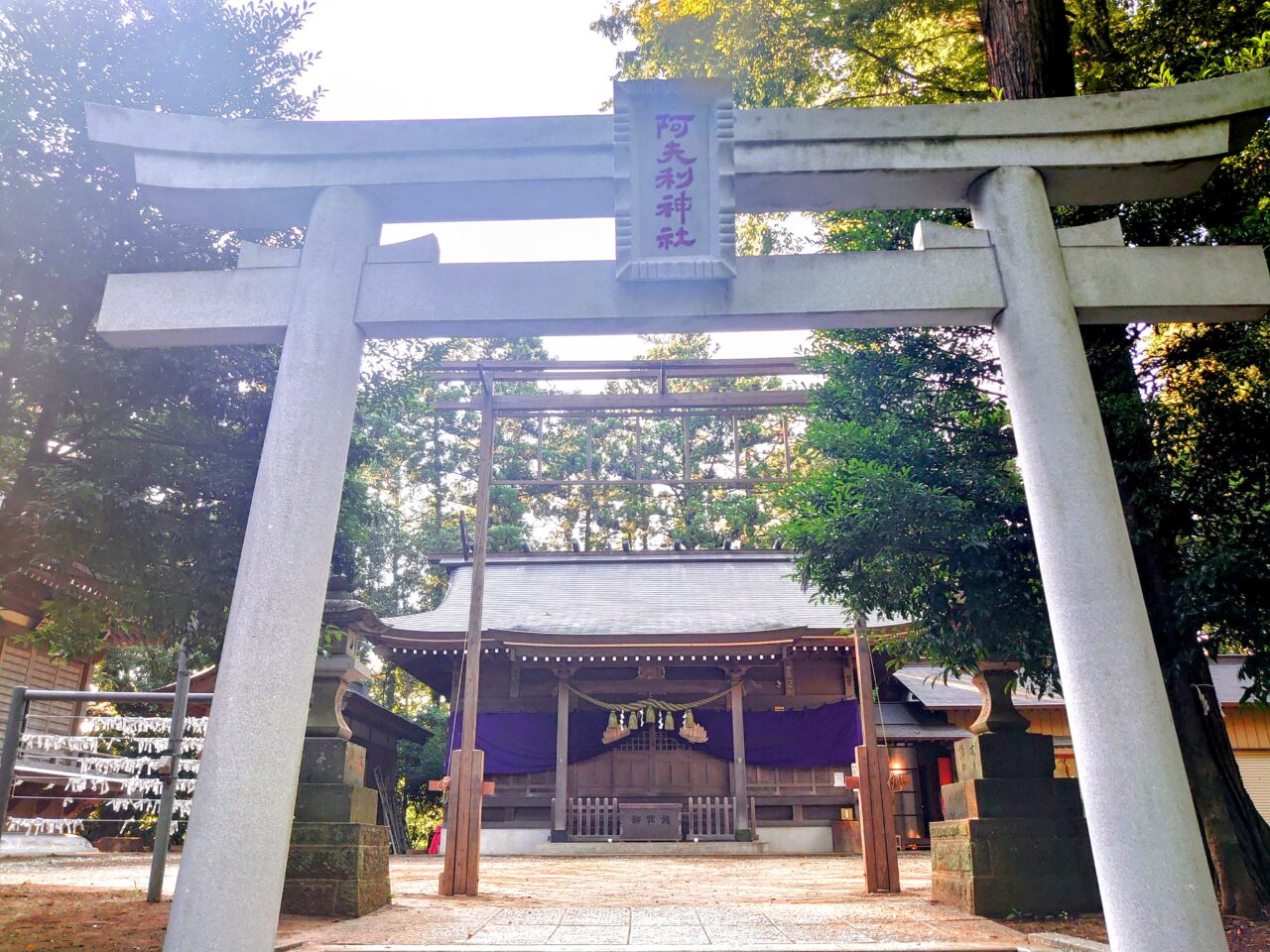 阿夫利神社例大祭2025_鳥居と拝殿