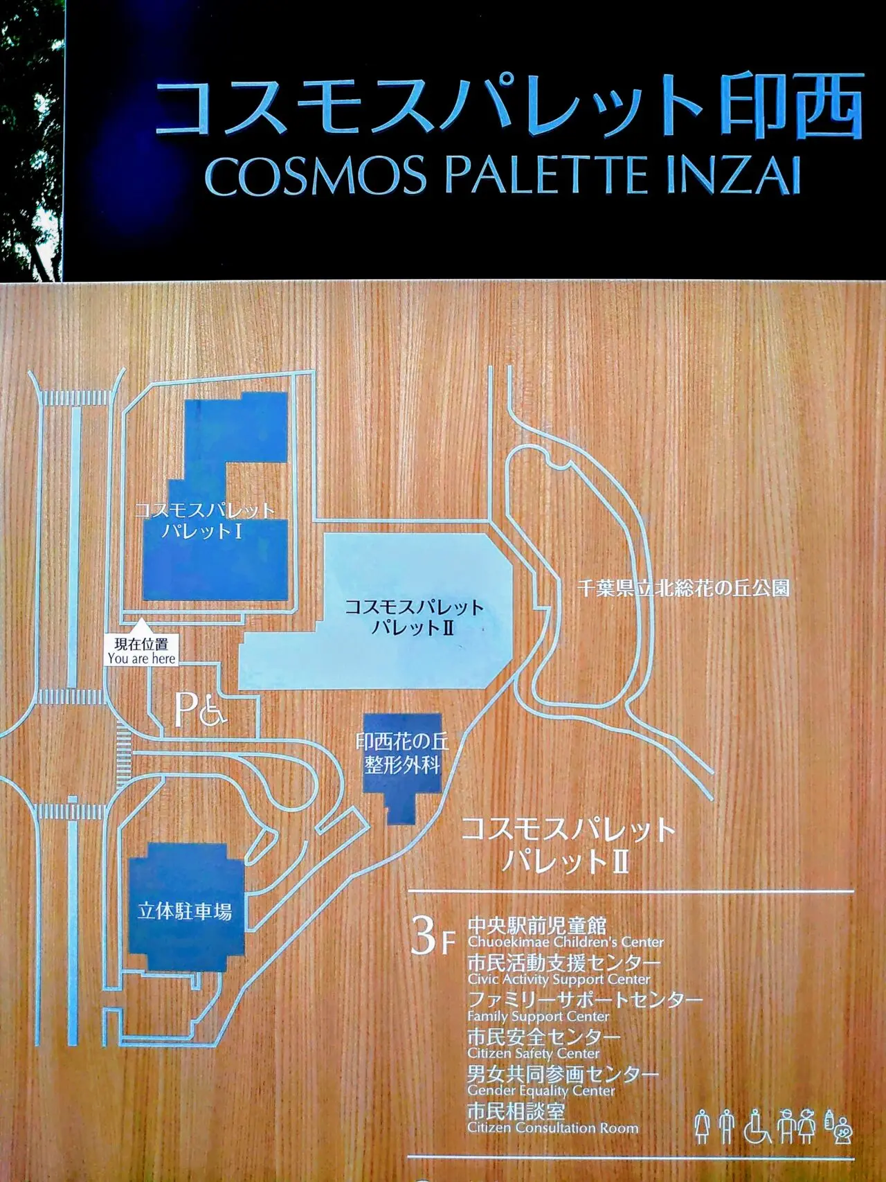 コスモスパレット夏祭り_案内図
