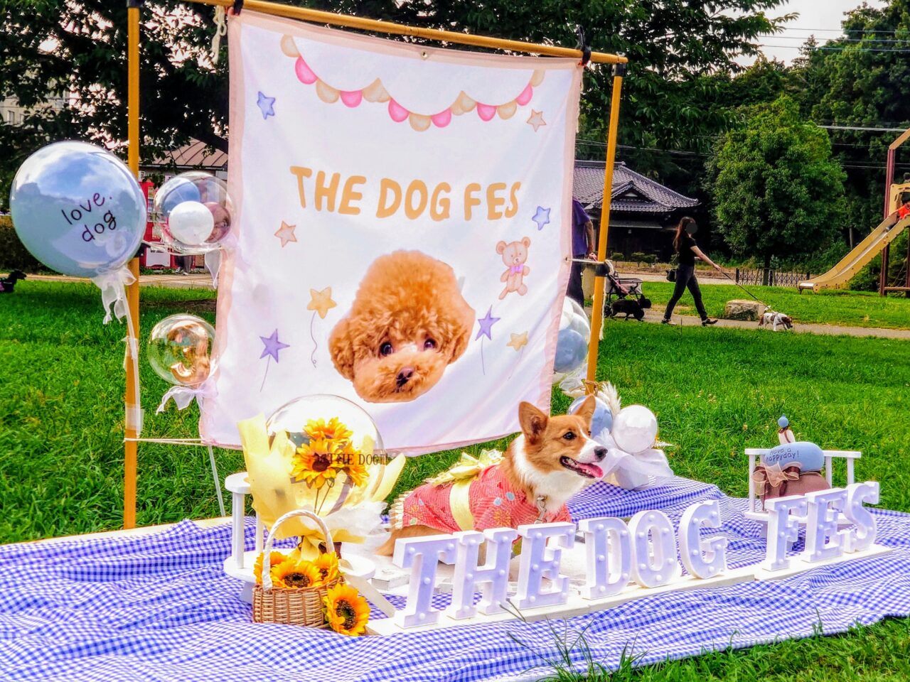 犬と夏祭り2025-2_会場６