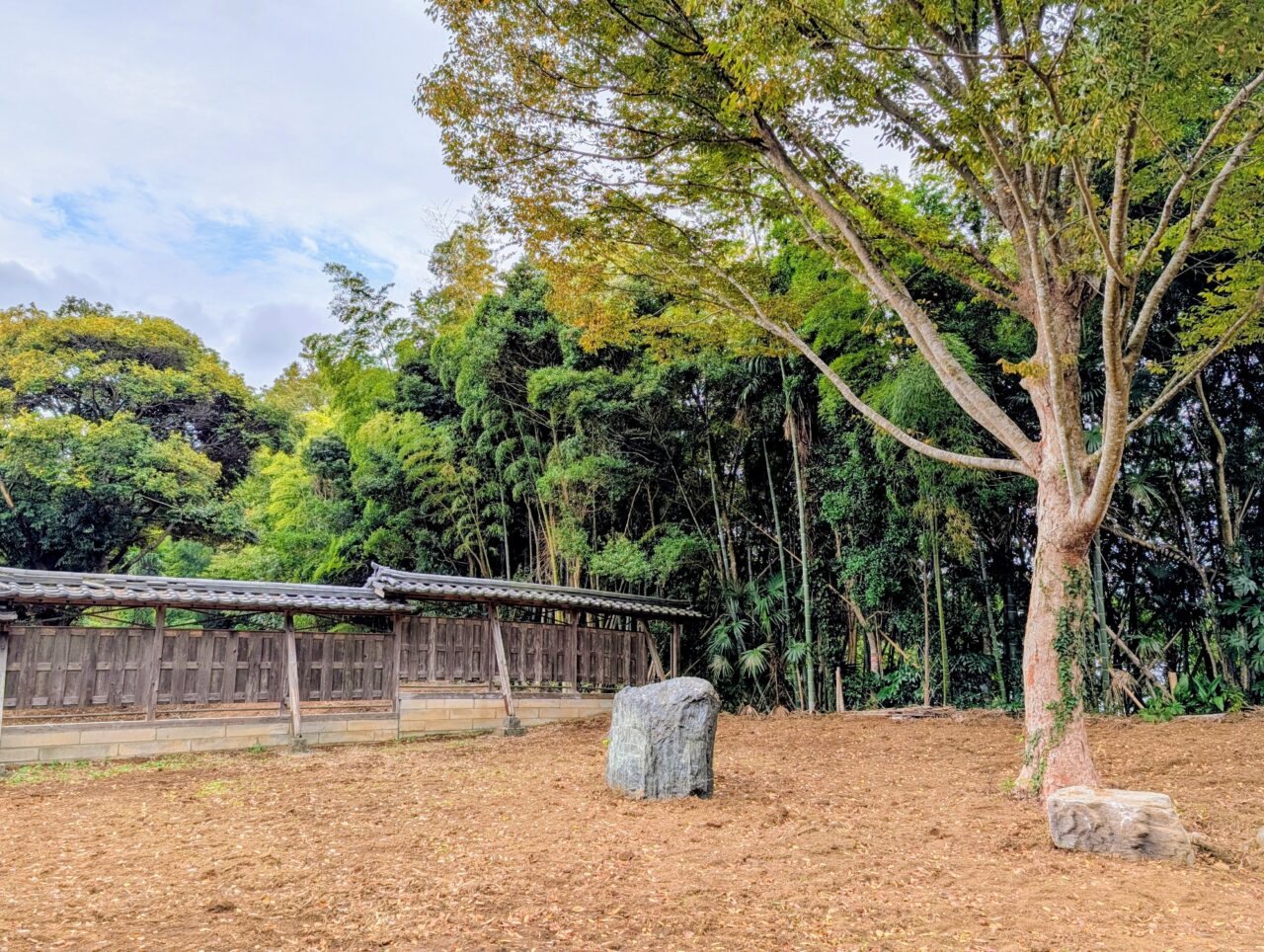 田舎ごっこファーム2025年_クラブハウス４