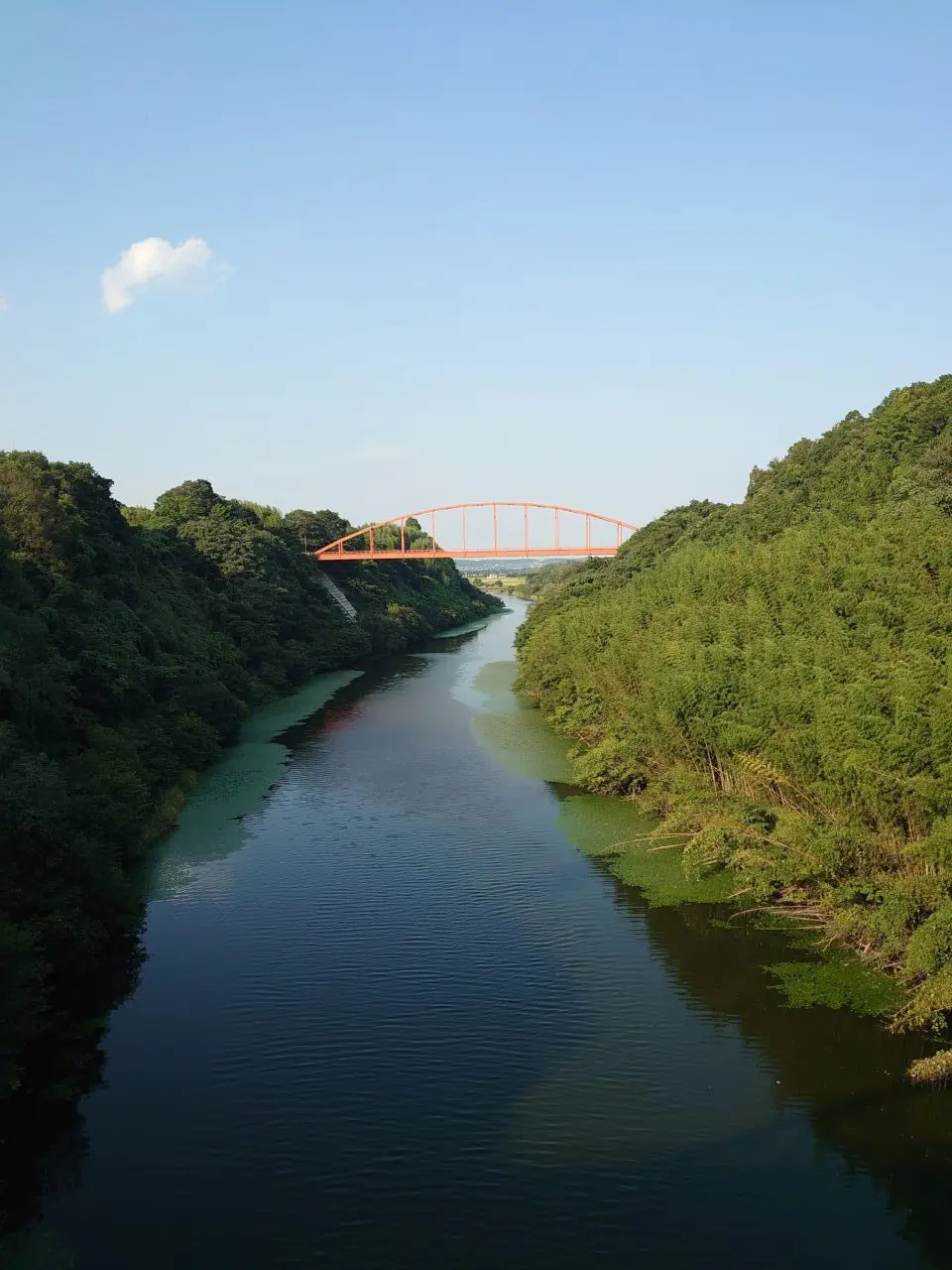 市井橋開通_市井橋10