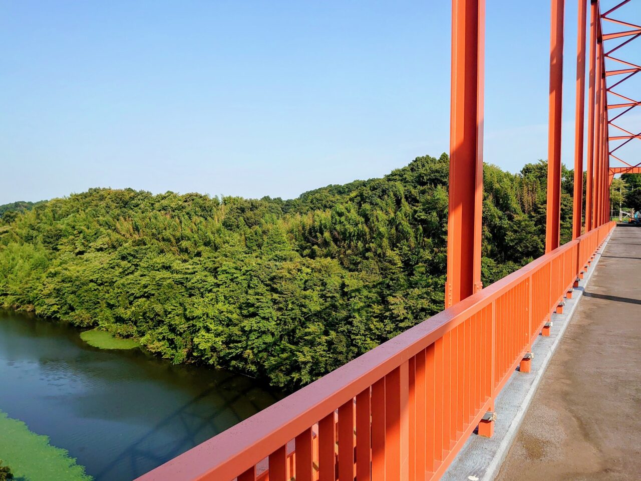 市井橋開通_市井橋4