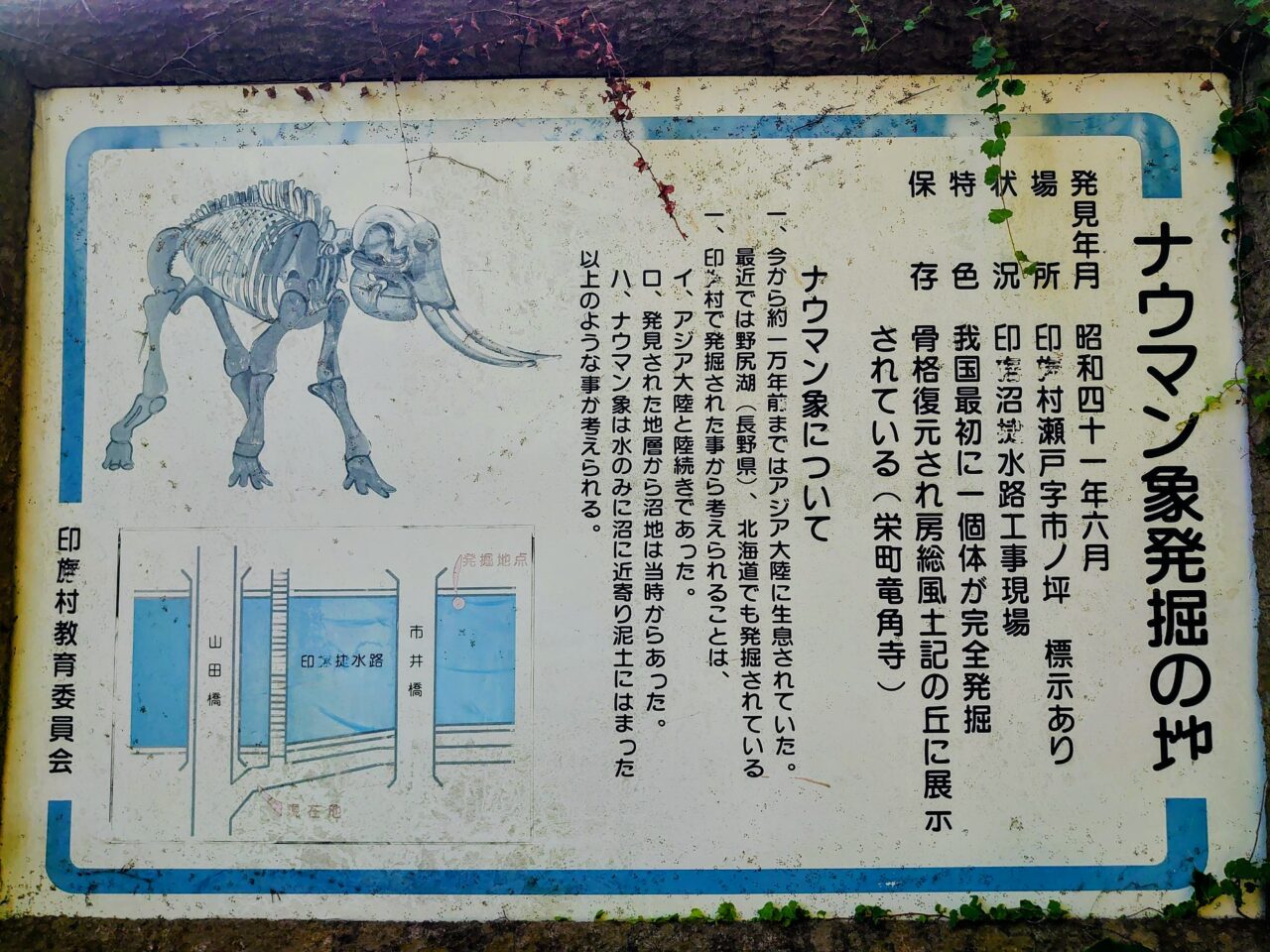 市井橋開通_市井橋9
