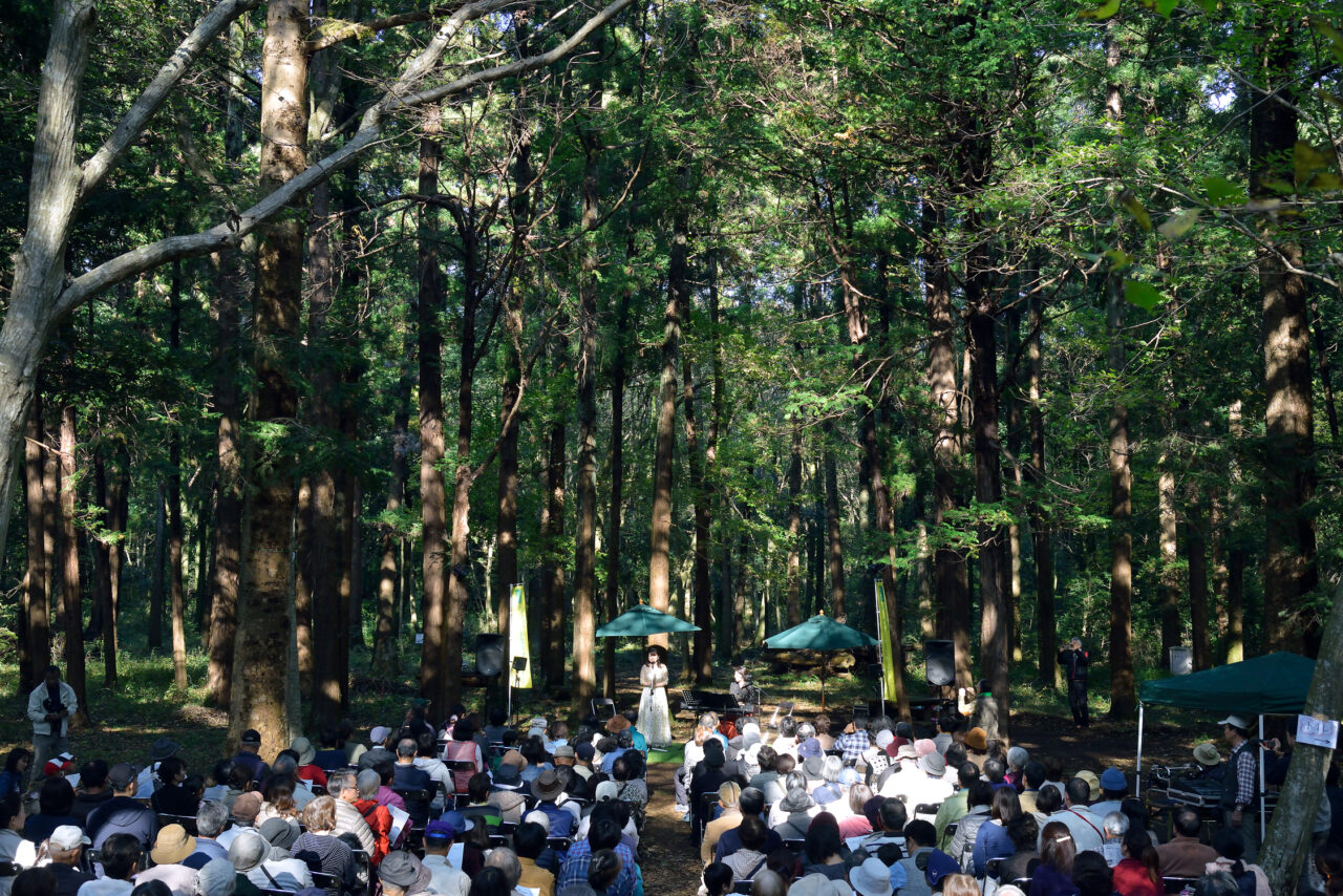 森の音楽会2025年10月_過去の様子１