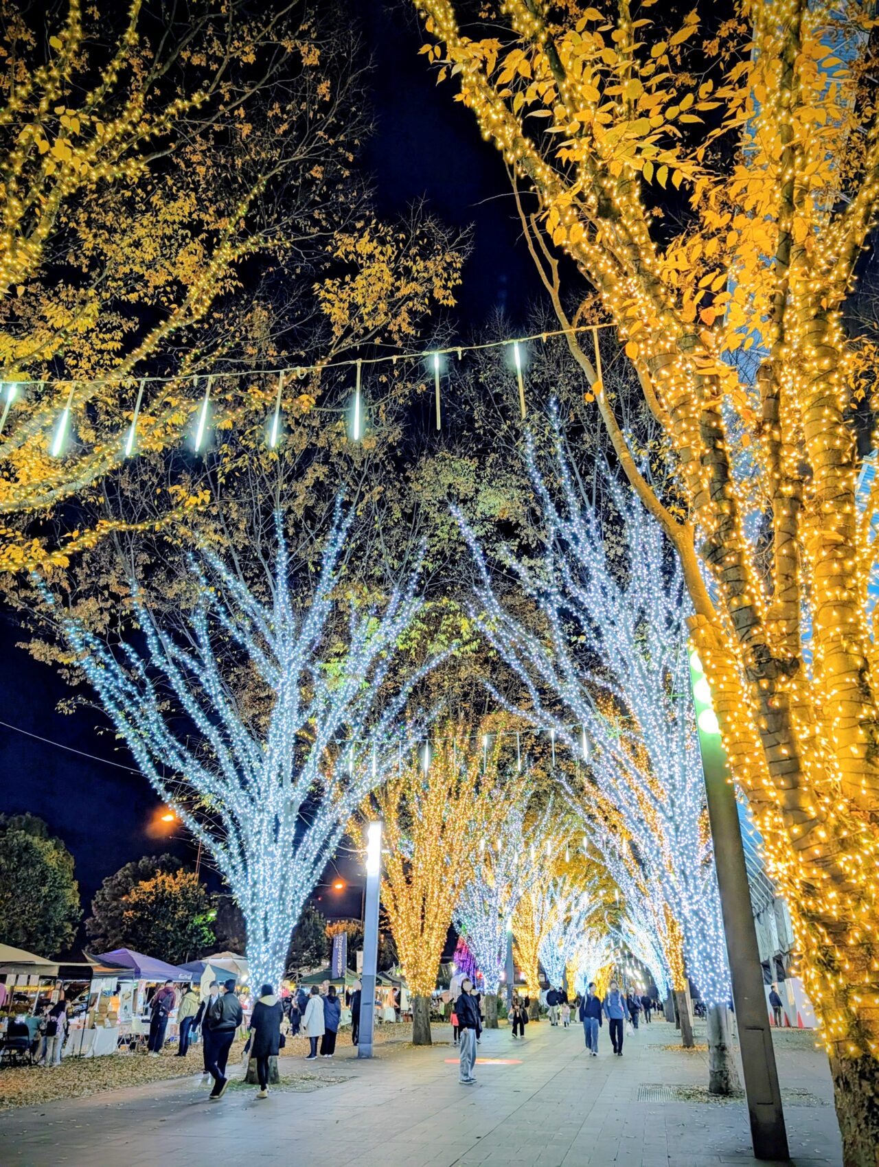 イルミライINZAI2025BMX_マルシェ１