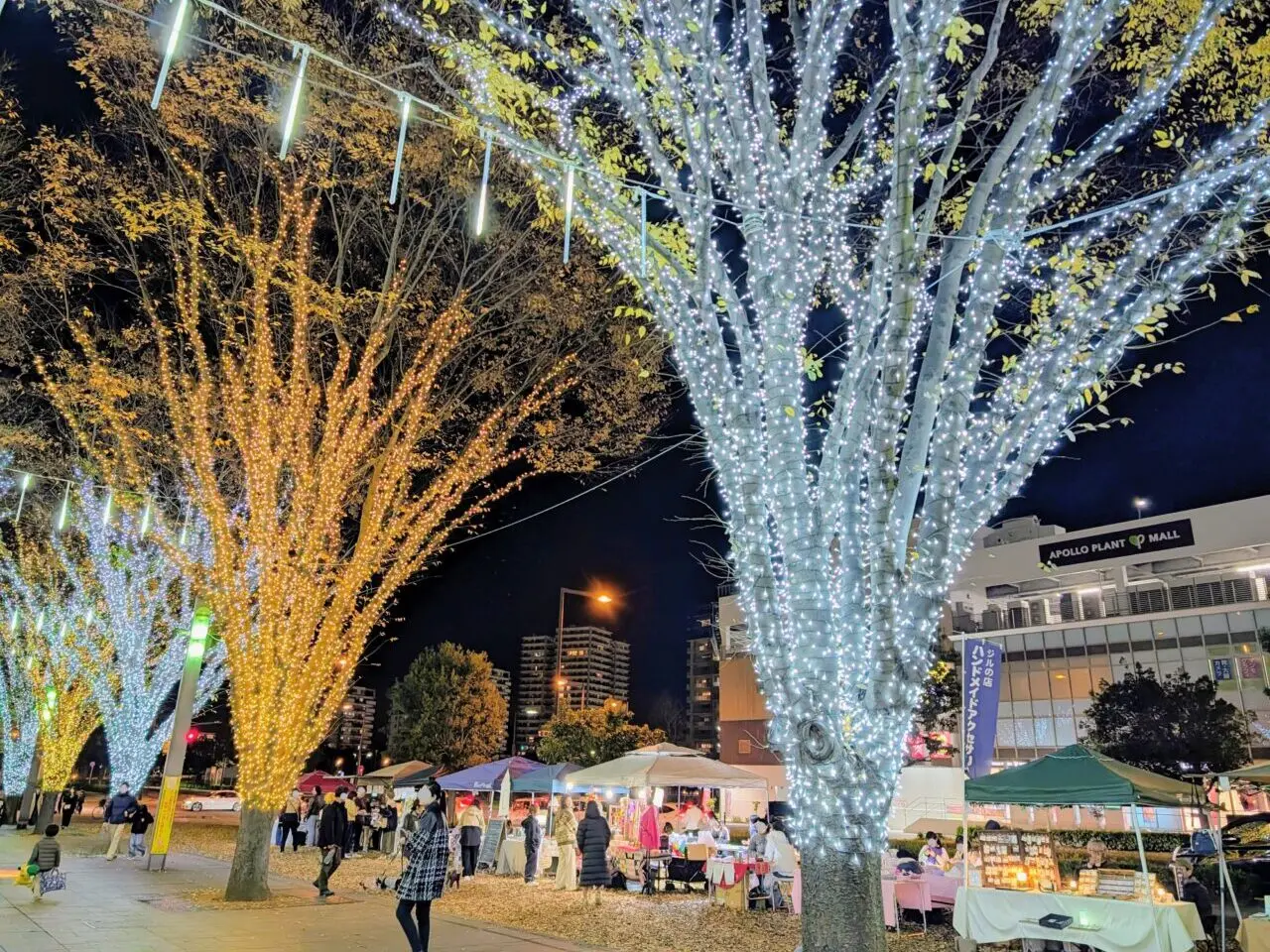 イルミライINZAI2025BMX_マルシェ２