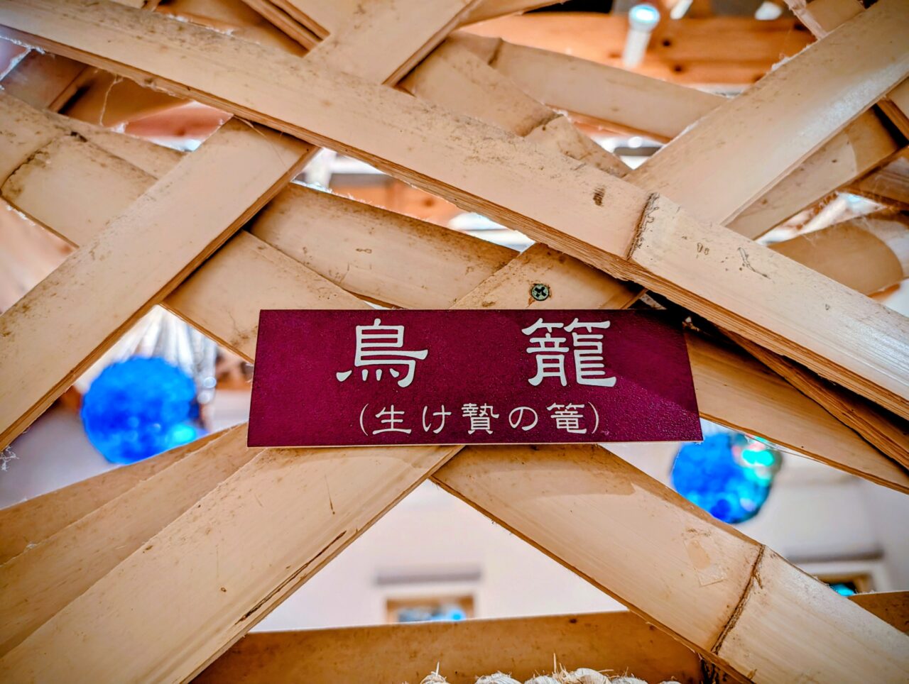 篭の鳥ディナー2025_内観５