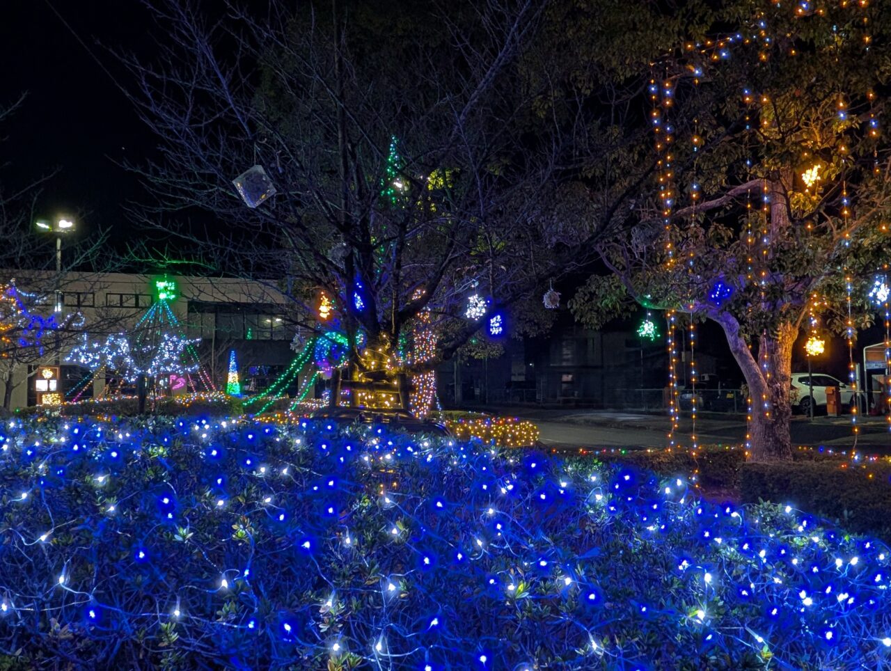 きおろし冬の光物語2025_南口７