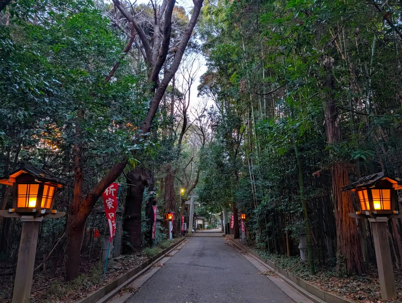 道野辺八幡宮2026年_参道１