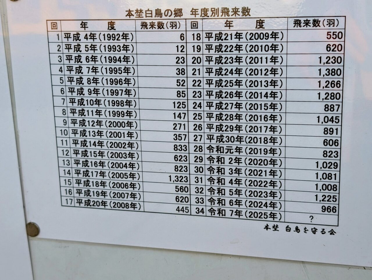 白鳥の郷2026年1月_白鳥２１