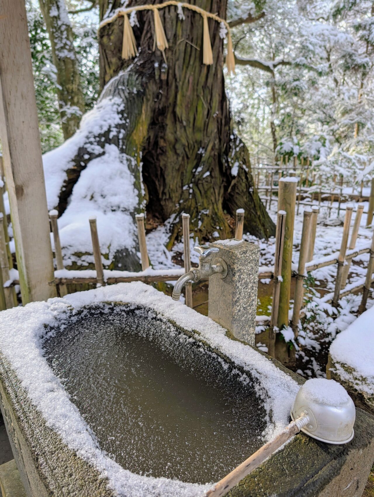 光堂の雪景2026年2月_手水