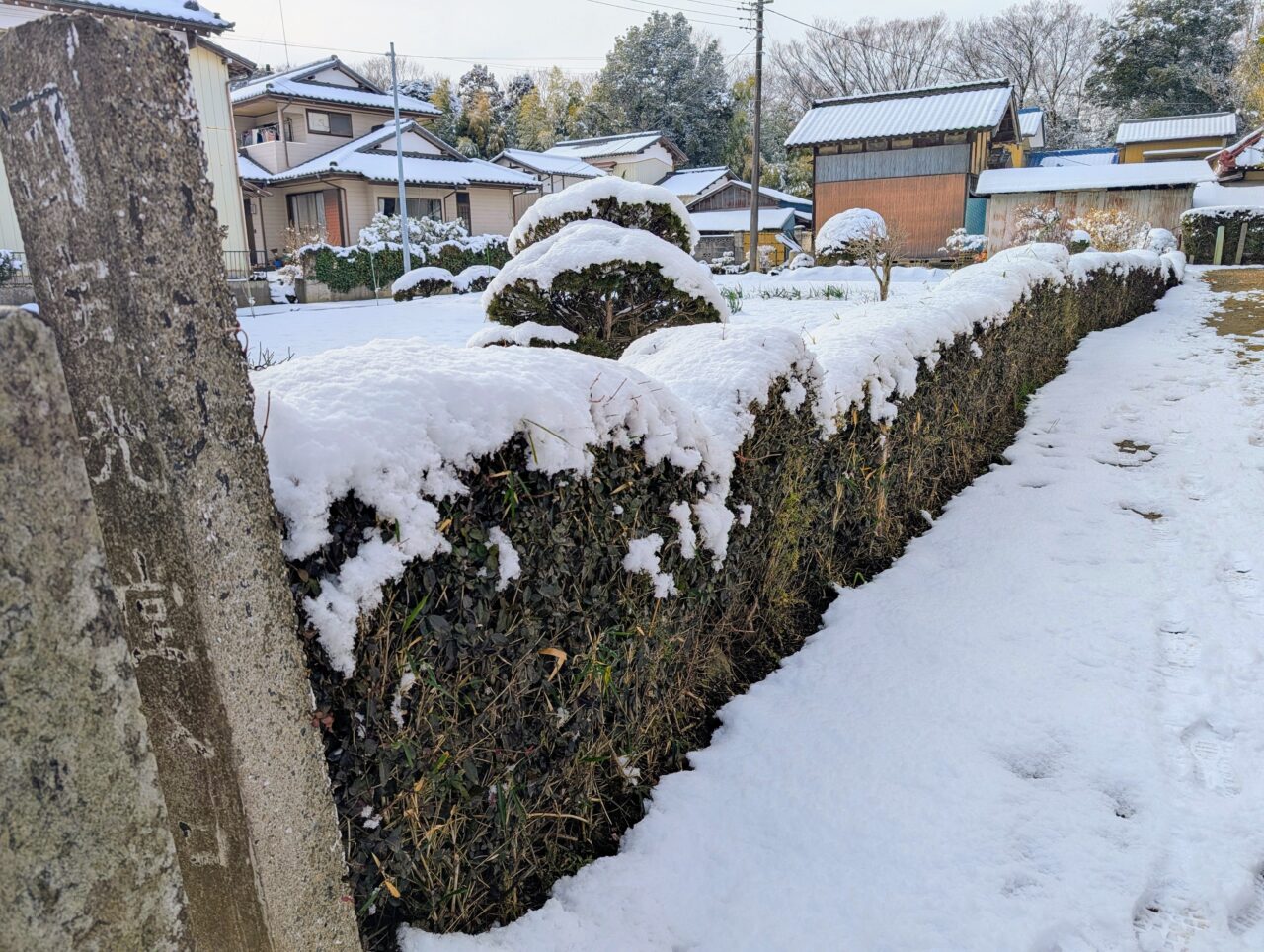 光堂の雪景2026年2月_光堂道１