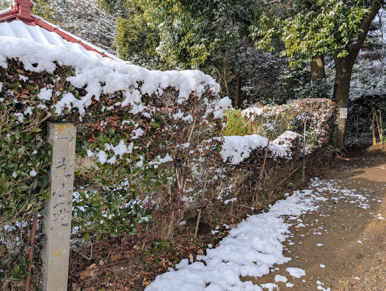 光堂の雪景2026年2月_光堂道２