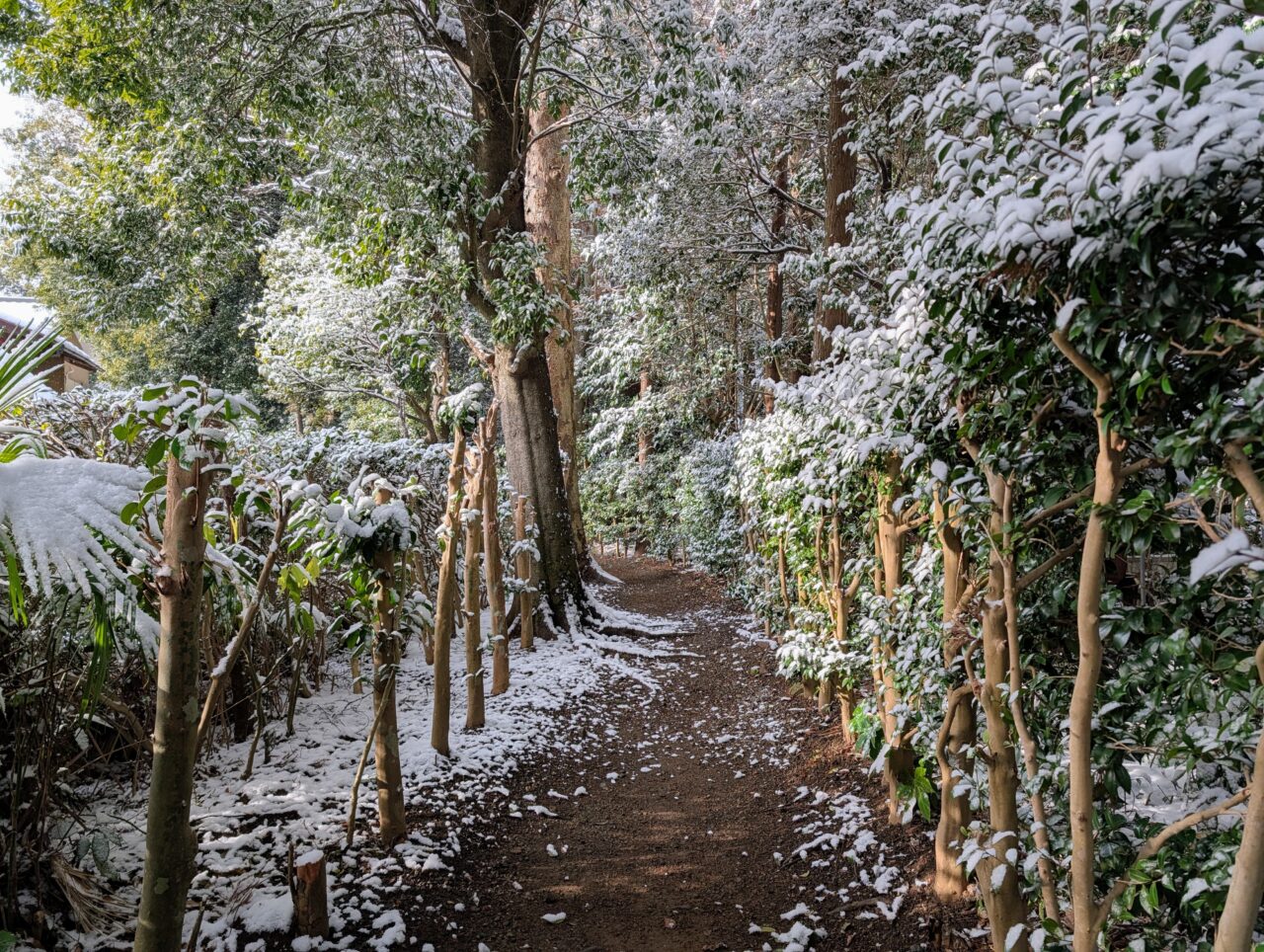 光堂の雪景2026年2月_光堂道３